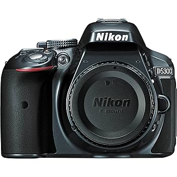 Nikon - 予備電池付★Wi-Fi＆圧倒的 超高画質！自撮り ★ニコン D5300 予備電池付☆Wi-Fi＆圧倒的 超高画質！自撮り ☆ニコン D5300